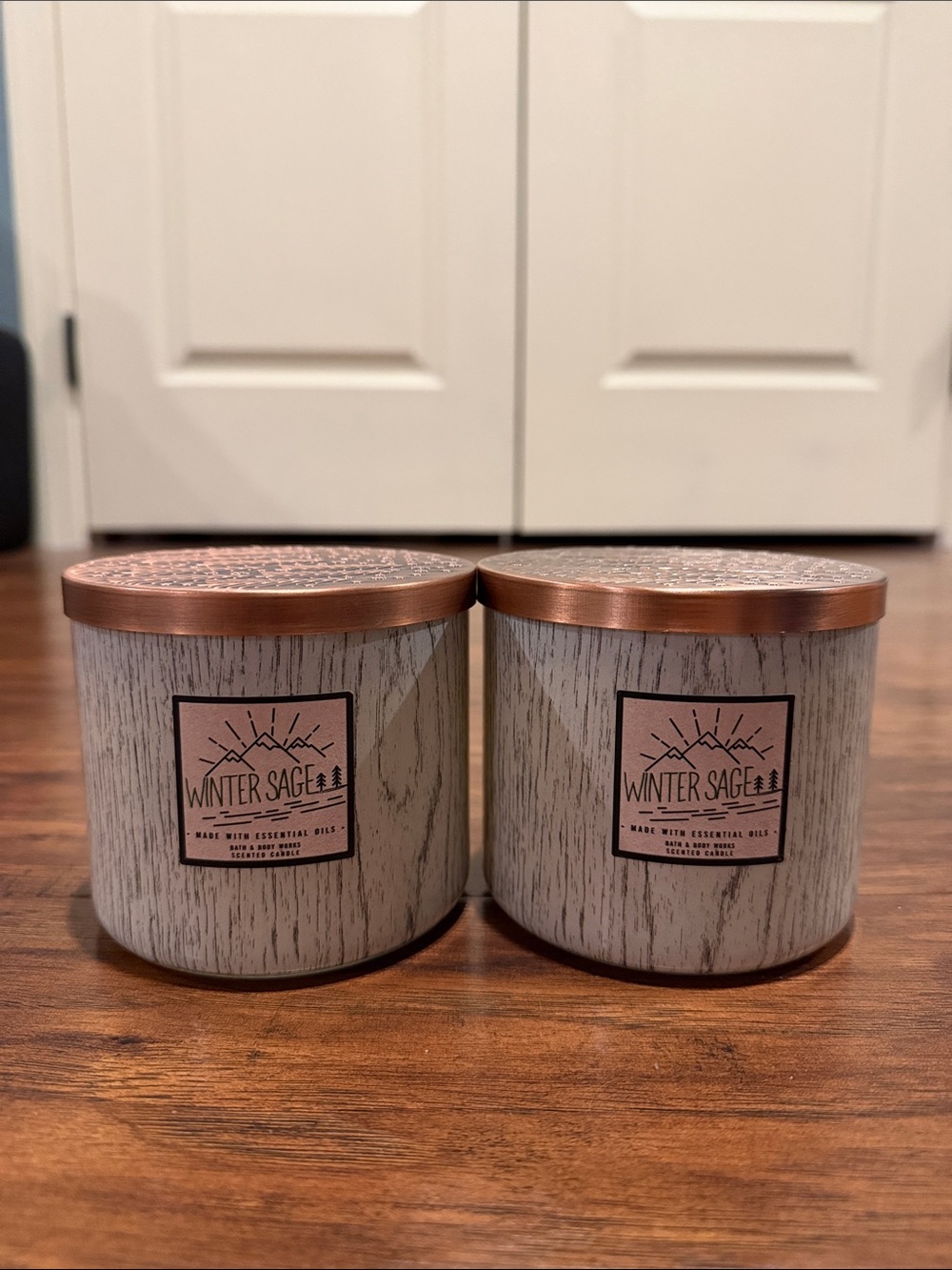 Bath & Body Works Winter Sage Candle Duo - Gray & Copper
